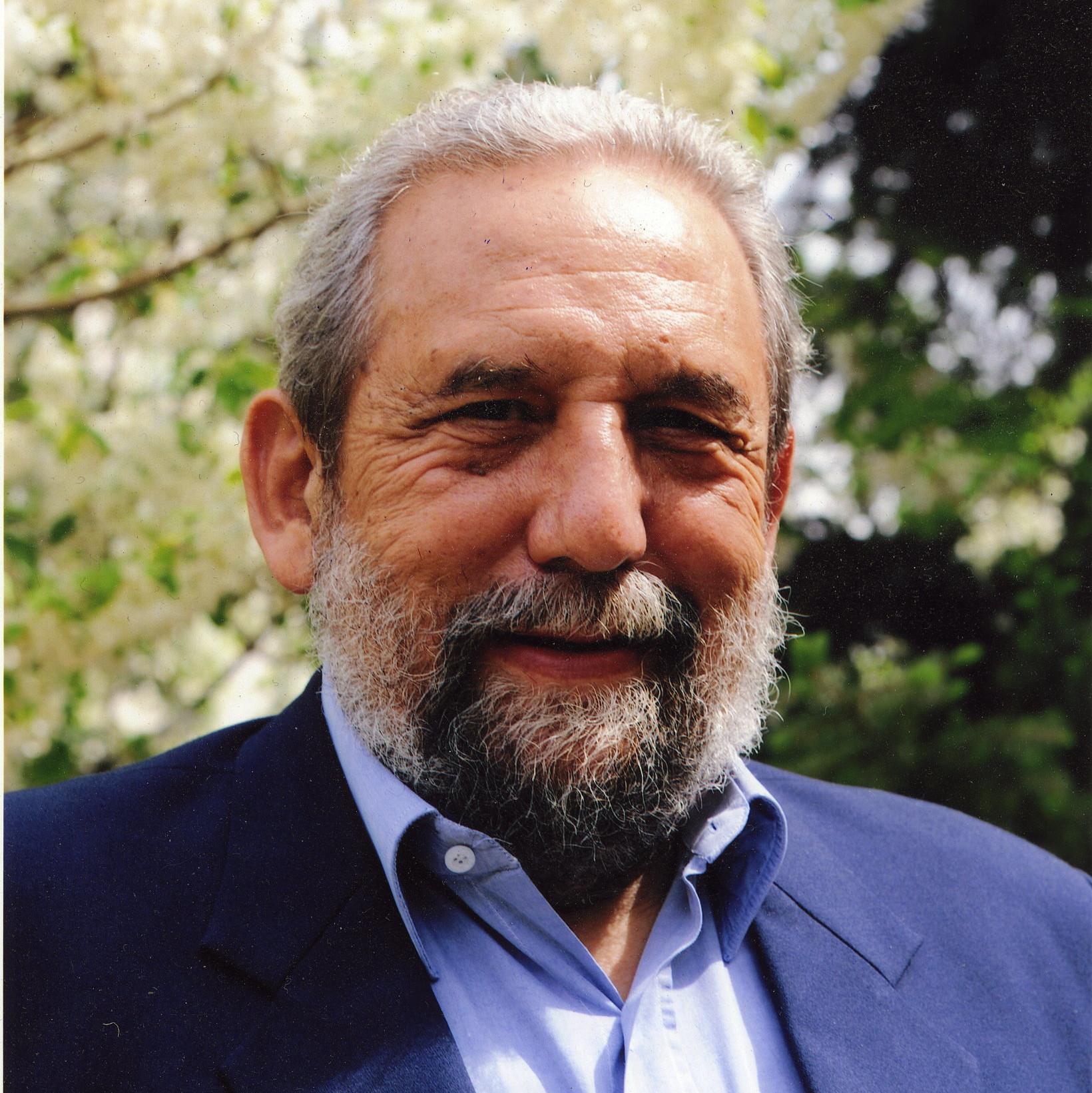 Luís Santos Pereira luis santos pereira leaf