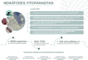 Infographic “Phytoparasitic Nematodes” – the invisible enemy of agriculture Infographic “Phytoparasitic Nematodes” – the invisible enemy of agriculture