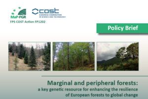 Marginal and peripheral forests: a key genetic resource for enhancing the resilience of European forests to global change (ENG)
