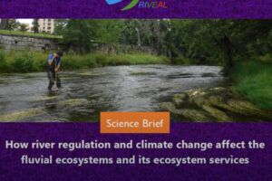 How river regulation and climate change affect the fluvial ecosystems and its ecosystem services (ENG) - 2022 How river regulation and climate change affect the fluvial ecosystems and its ecosystem services (ENG) – 2022