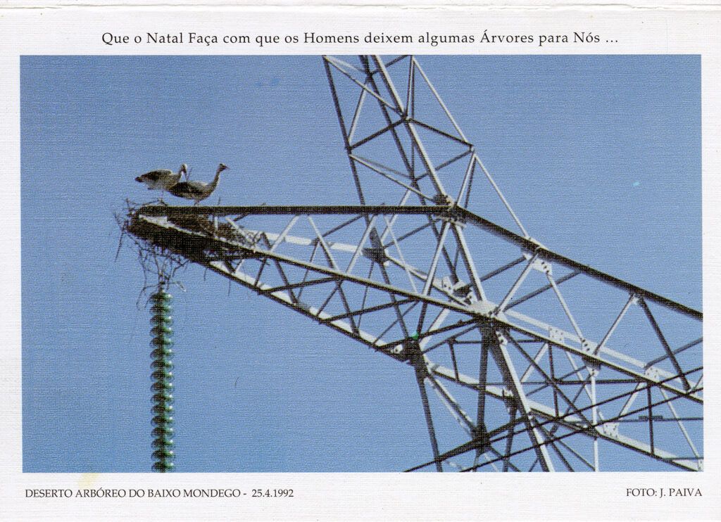 Exposição - 35 Postais de Natal de Jorge Paiva 1992 f