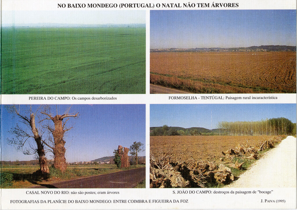 Exposição - 35 Postais de Natal de Jorge Paiva 1995 f