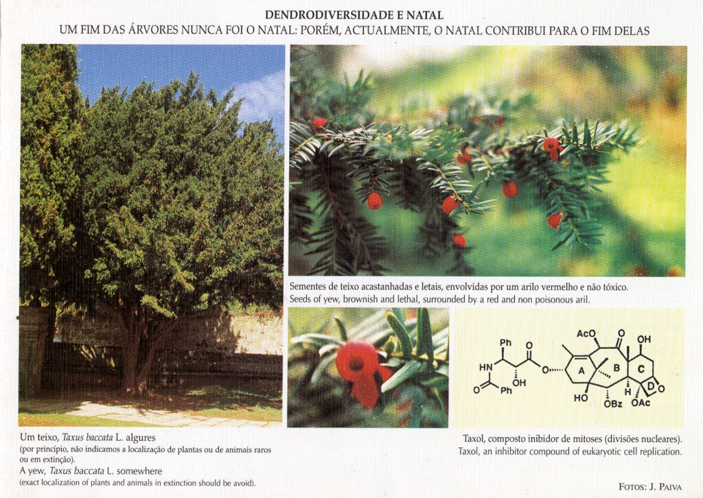 Exposição - 35 Postais de Natal de Jorge Paiva 1997 f