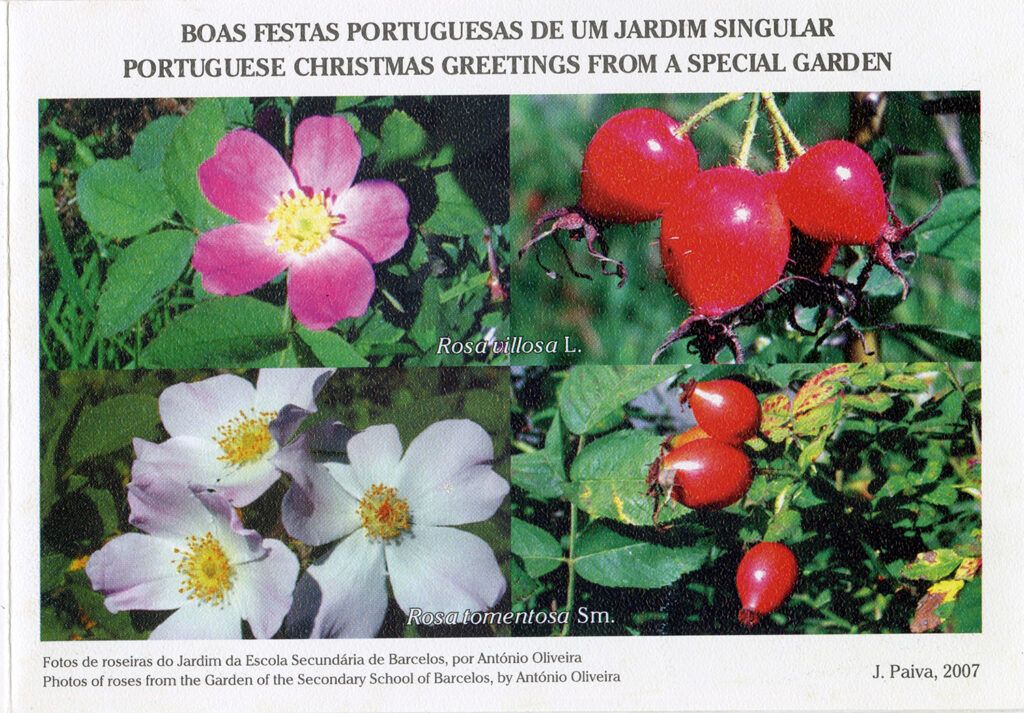 Exposição - 35 Postais de Natal de Jorge Paiva 2007 f