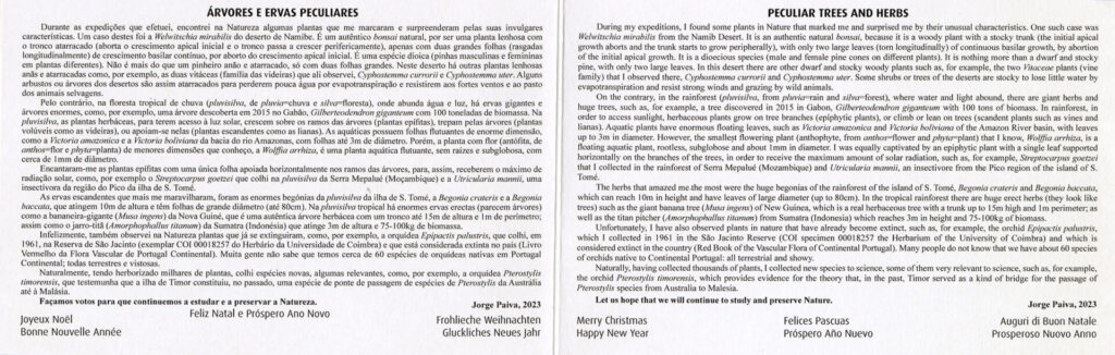 Exposição - 35 Postais de Natal de Jorge Paiva 2023 v