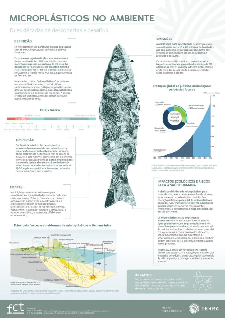 Infografia Microplasticos 1086x1536 1
