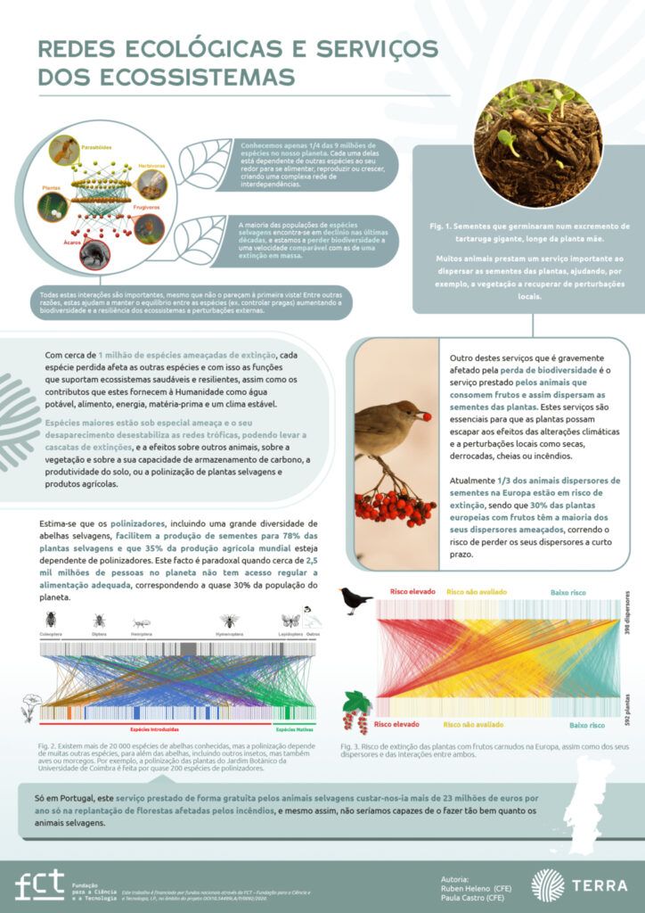 Infografia Redes Ecologicas vfinal 1 1086x1536 1