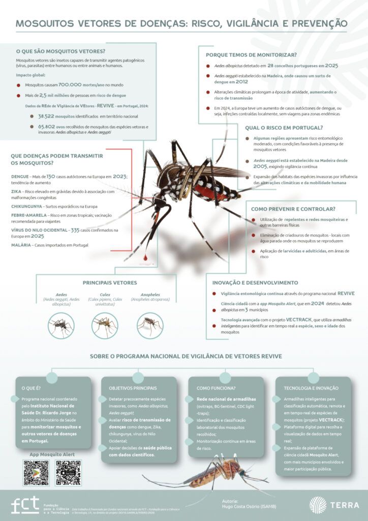 Infografia mosquitos vetores vfinal1 1086x1536 1