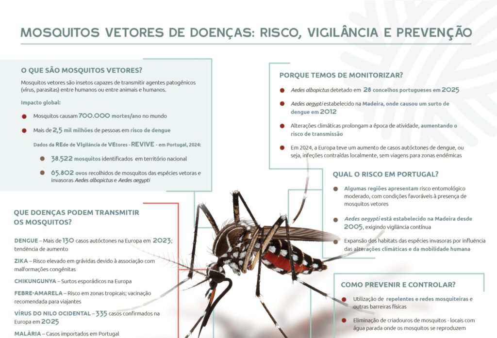mosquitosvetores infografia news 1