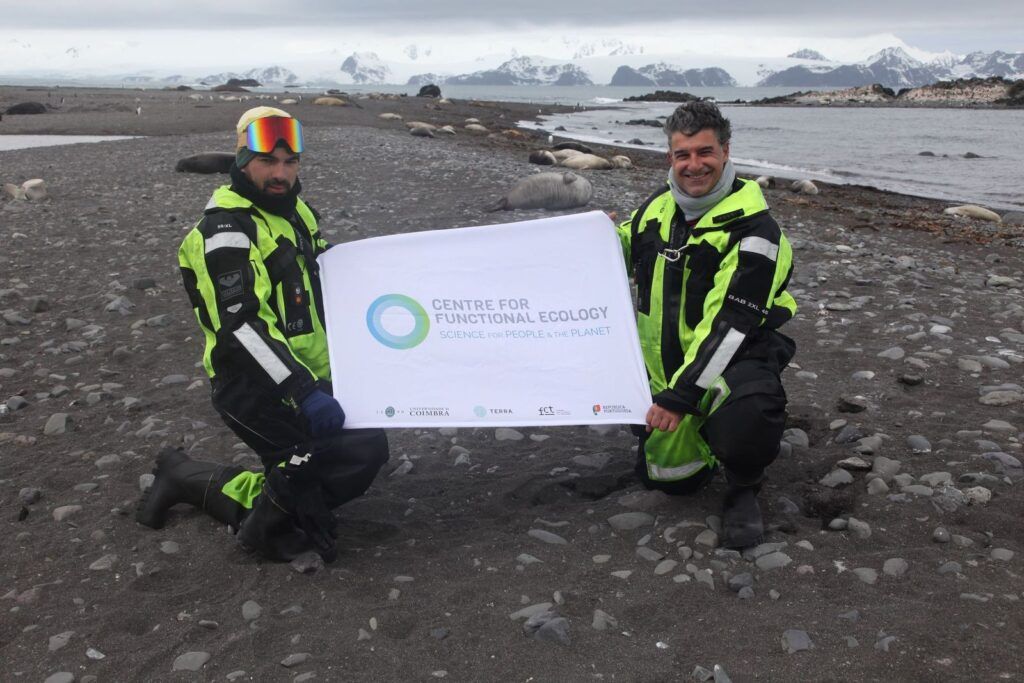 Antarctic Expedition: CFE researchers study pollution and diseases in marine ecosystems 1765382805844