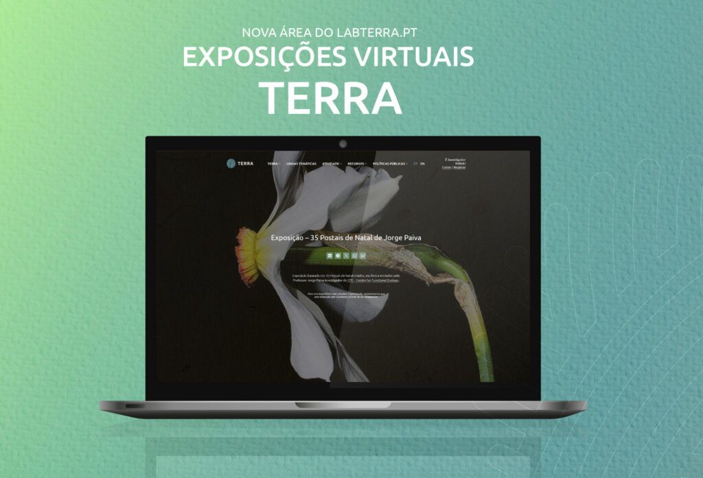TERRA Launches Digital Exhibition “35 Christmas Cards by Jorge Paiva” 35 anos postais materiais divulgacao Insta pub 5