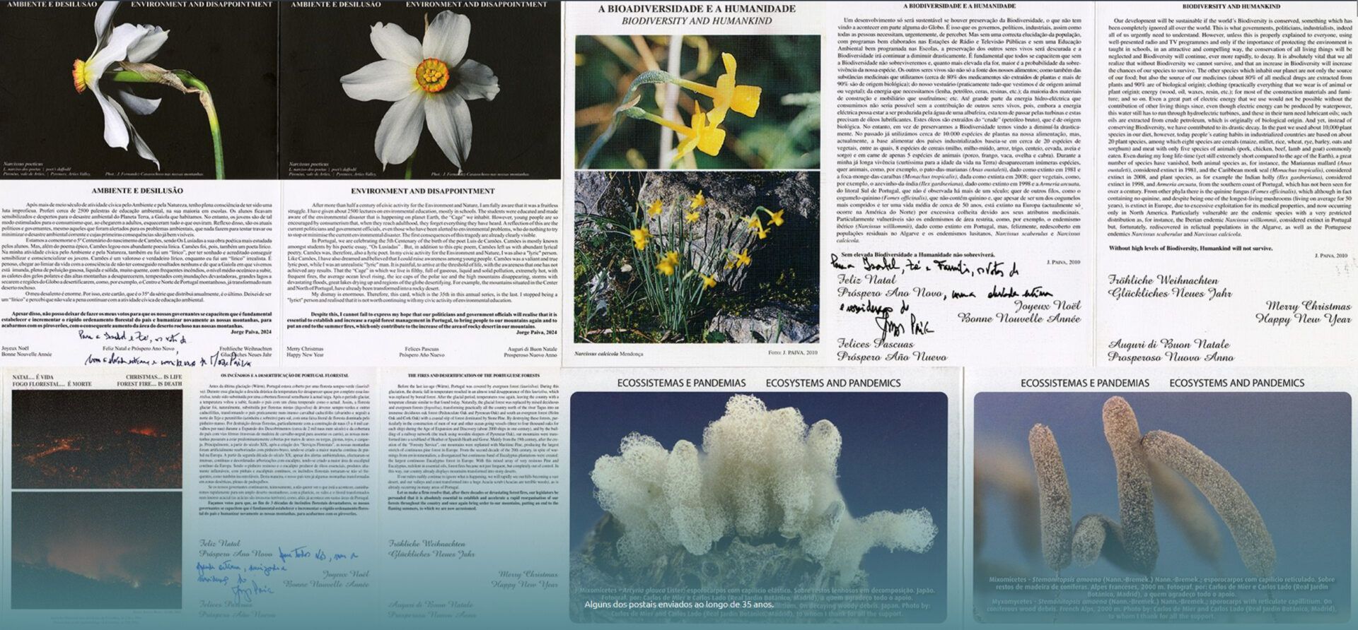 TERRA Launches Digital Exhibition “35 Christmas Cards by Jorge Paiva” Layer 3
