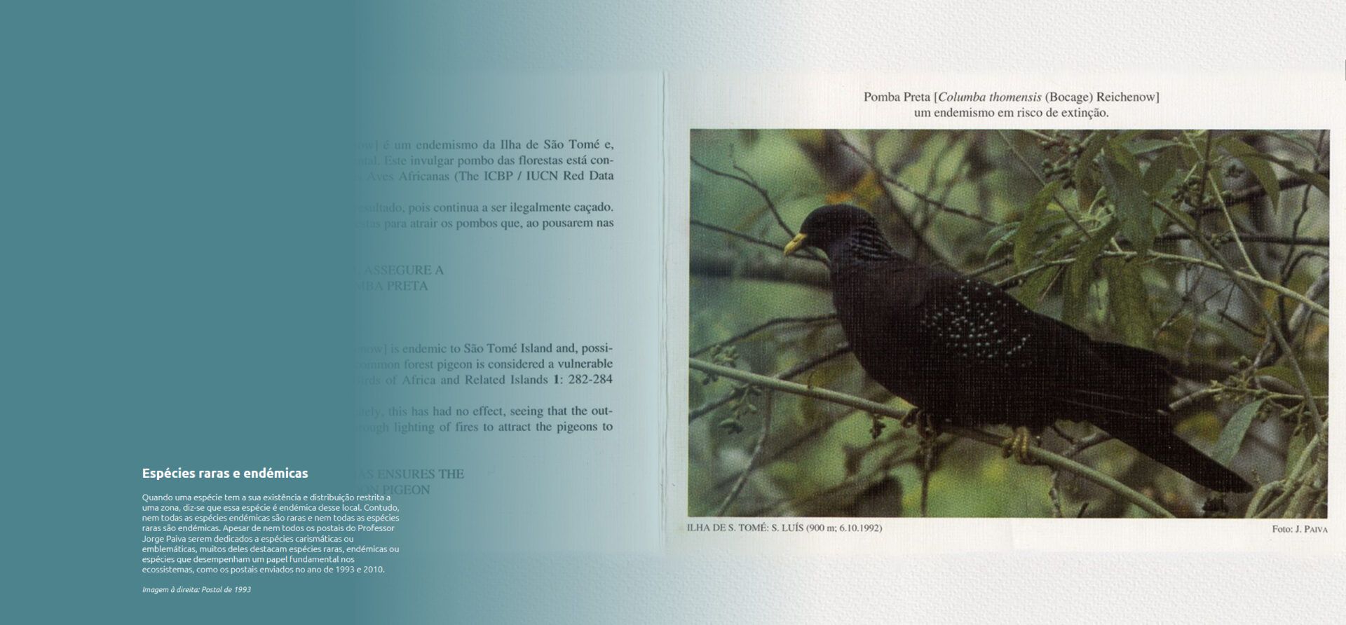 TERRA Launches Digital Exhibition “35 Christmas Cards by Jorge Paiva” Layer 4