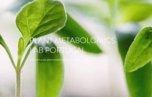 Webinar: Formação Online — Iniciação à Metabolómica de Plantas (1ª Edição)