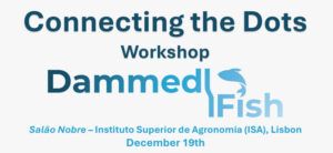 Workshop Connecting the Dots