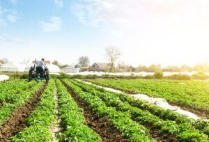 TERRA researcher publishes opinion article in Público on the future of agricultural policy