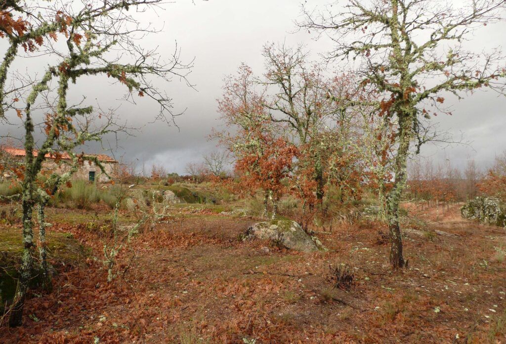 Study Published in Nature Reveals Hidden Impact of Human Activities on Nature Noticia Nature CFE
