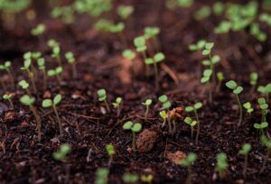 SOILRES: a new project to restore European soils and strengthen sustainable agriculture SOILRES: a new project to restore European soils and strengthen sustainable agriculture