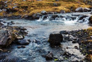 TERRA Associate Laboratory Publishes Feature Article on River Restoration on Florestas.pt Portal TERRA Associate Laboratory Publishes Feature Article on River Restoration on Florestas.pt Portal