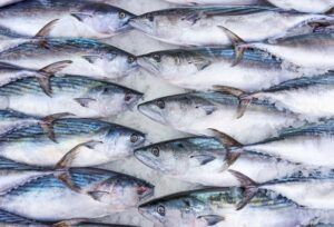 The TERRA Associate Laboratory Launches a New Infographic “Aquaculture and Fisheries Resources”
