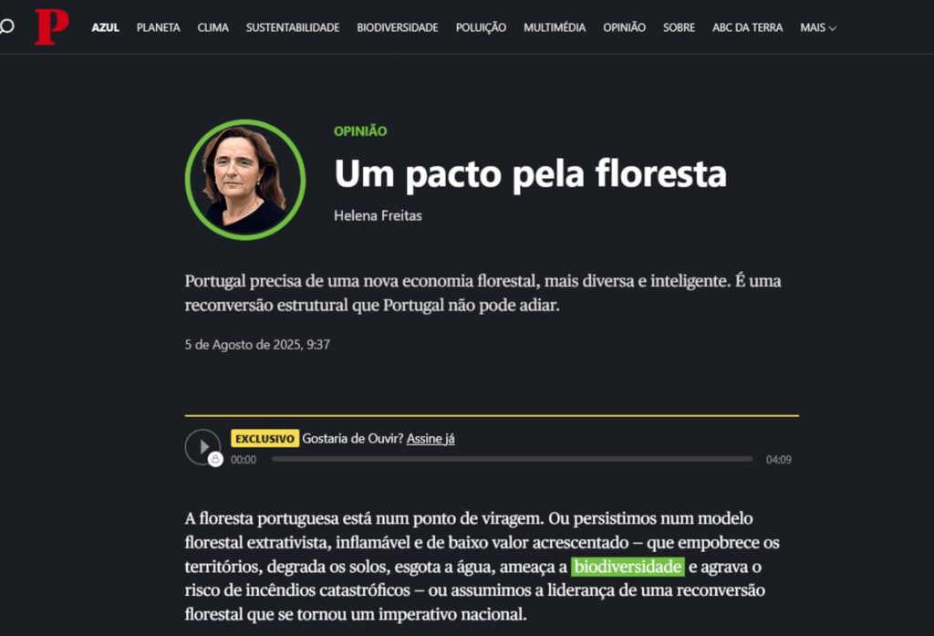 Helena Freitas proposes “A pact for the forest” as a national imperative helena freitas pacto floresta Opiniao PUBLICO 1