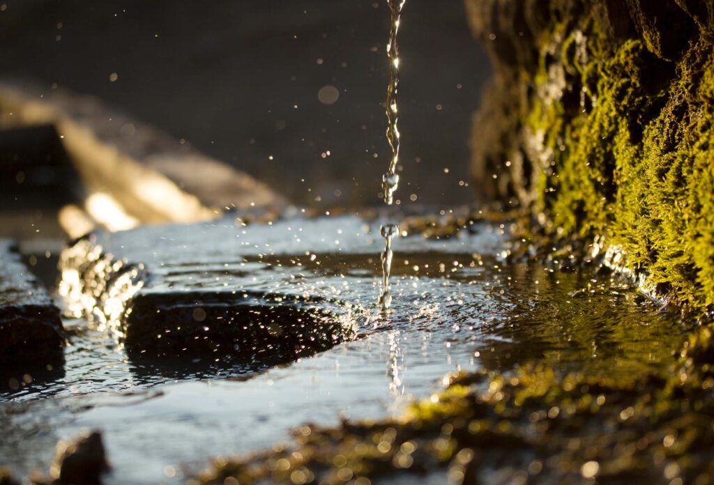 TERRA researcher awarded prestigious ERC grant for innovative water quality monitoring project imagem capa noticia ERC