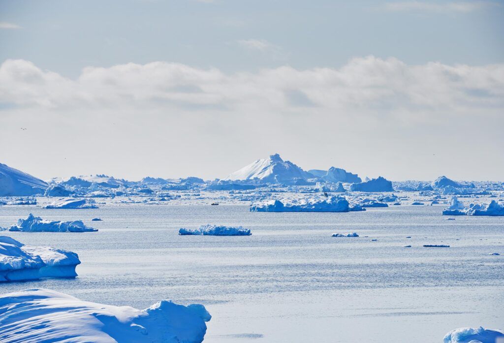 Researcher José Xavier Leads Portuguese Delegation at Antarctic Treaty Consultative Meetings in Milan imagem capa noticia jose xavier 1