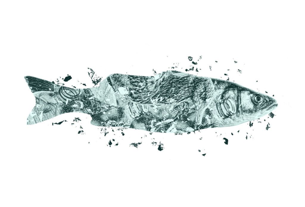 Infographic “Microplastics in the Environment”: Two Decades of Discoveries and Challenges thumbnail infografia microplasticos