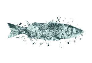Infographic “Microplastics in the Environment”: Two Decades of Discoveries and Challenges