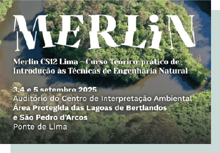 Agosto 2025 4 noticia merlin