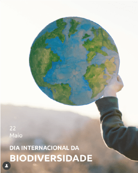 Maio 2025 Asset 62