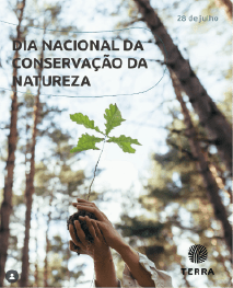 Julho 2025 Asset 90