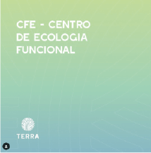 CFE REDES