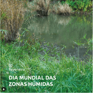 EFEMERIDE DAS ZONA HUMIDAS 300x300 1