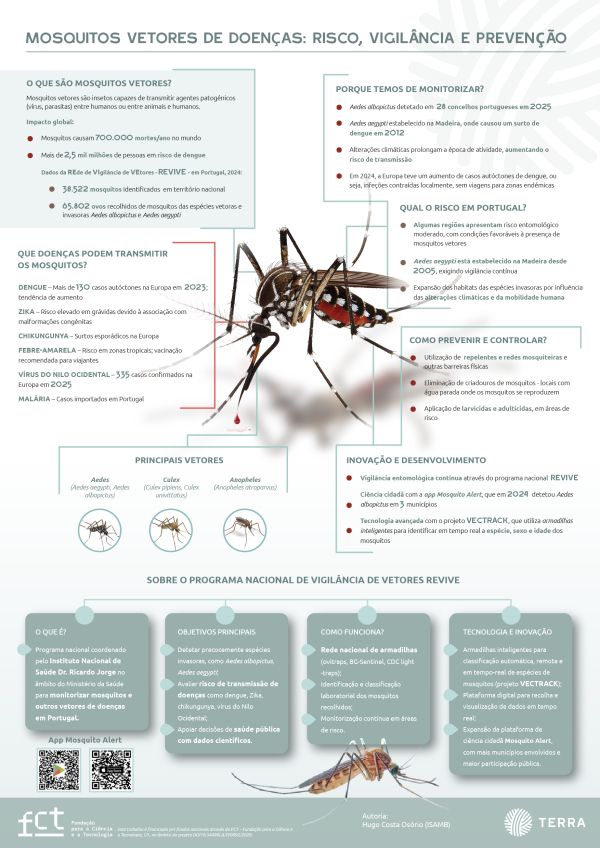 Infografia mosquitos vetores vfinal1