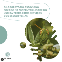 TERRA REDES SUSTENTABILIDADE