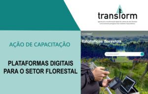 Ação de Capacitação “Plataformas Digitais para o Setor Florestal”
