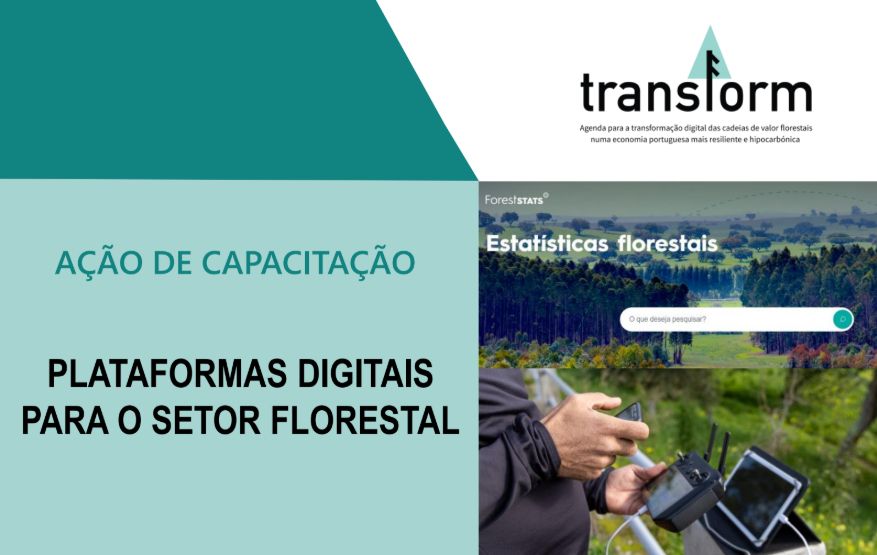Ação de Capacitação "Plataformas Digitais para o Setor Florestal" capacitacao plataformas digitais florestal