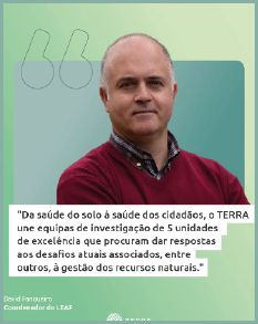 citacao david fangueiro