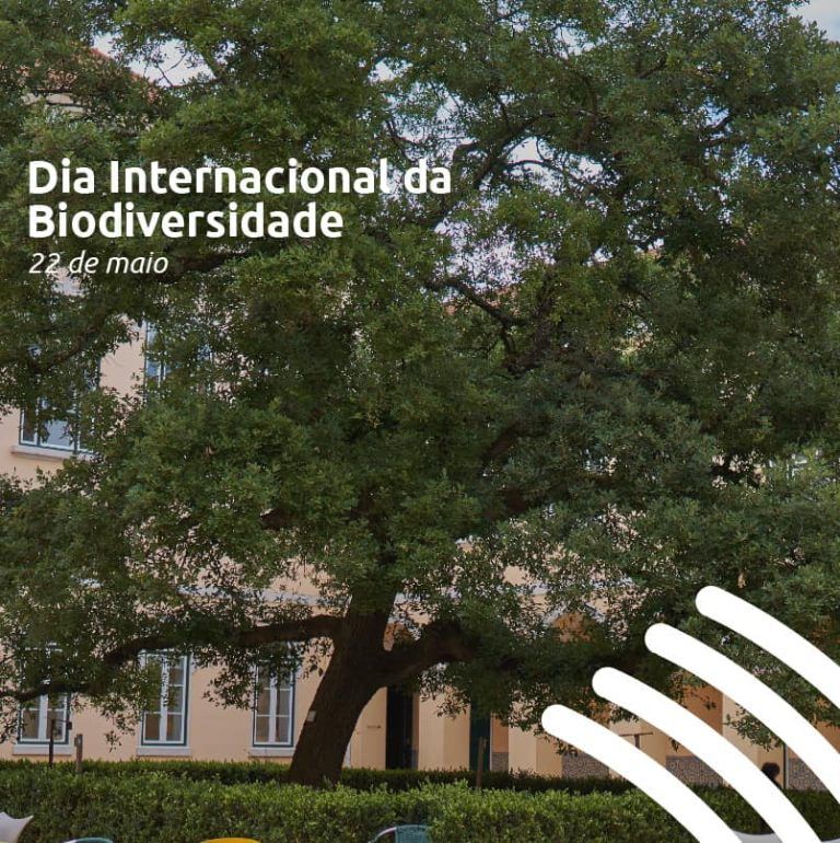 dia biodiversidade maio 768x770 1