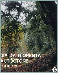dia floresta
