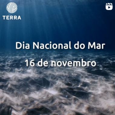 Novembro 2024 dia nacional mar