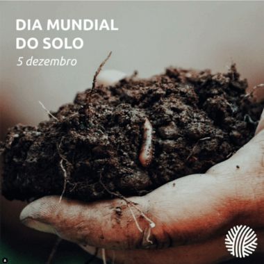 dia solo instagram labterra1