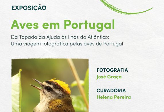 Exposição | Aves em Portugal - Da Tapada da Ajuda às ilhas do Atlântico: uma viagem fotográfica pelas aves de Portugal exposicao aves cef