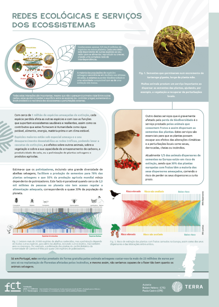 infografia newsletter redes ecologicas 732x1024 1