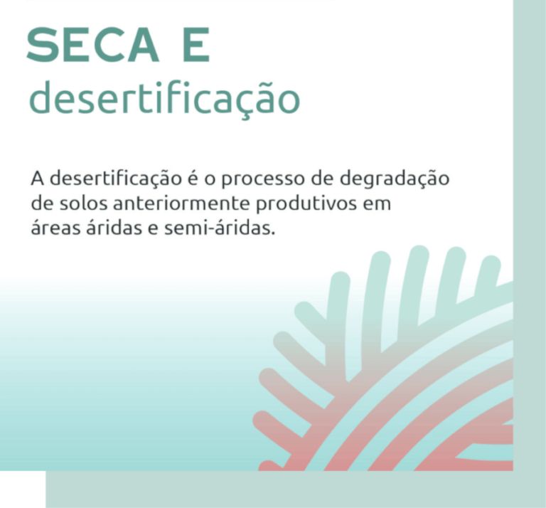 Julho & Agosto 2024 infografia seca labterra 768x714 1