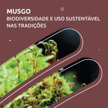 musgo instagram labterra1