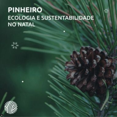 pinheiro instagram labterra1