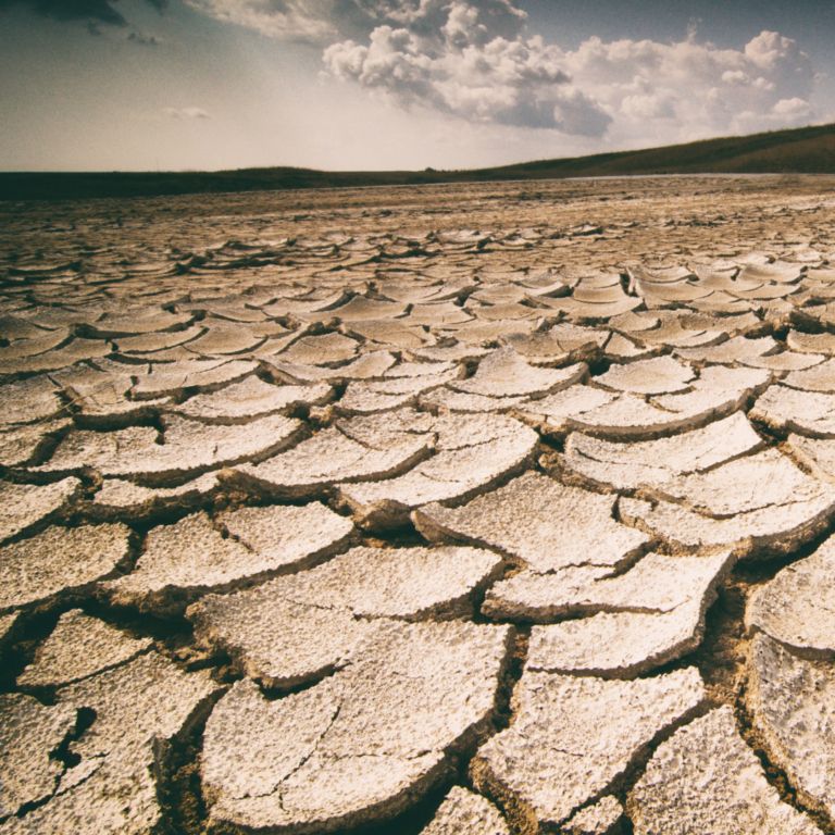 Julho & Agosto 2024 seca desertificacaolabterra 1 768x768 1 1