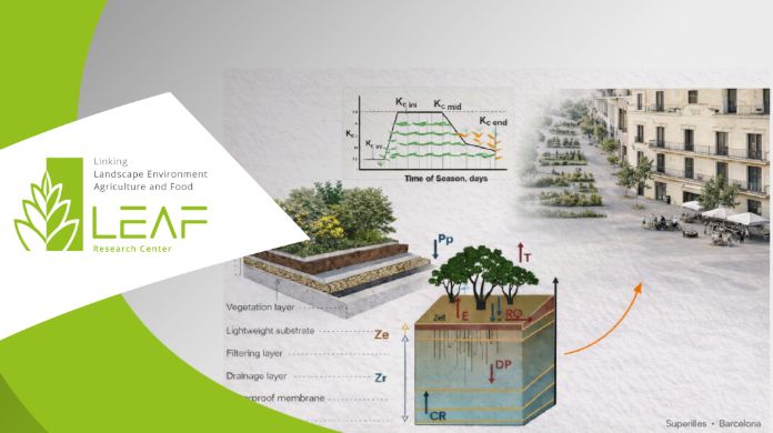 seminario hydrological NBS